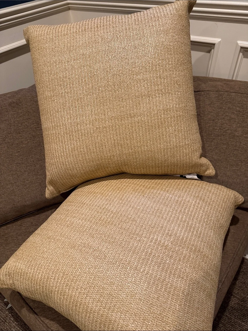NWT POTTERY BARN Natural Fiber Pillows